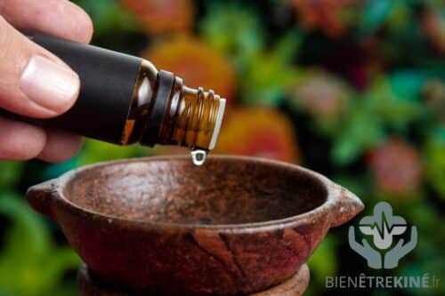 La gaulthérie : l’huile essentielle anti douleur